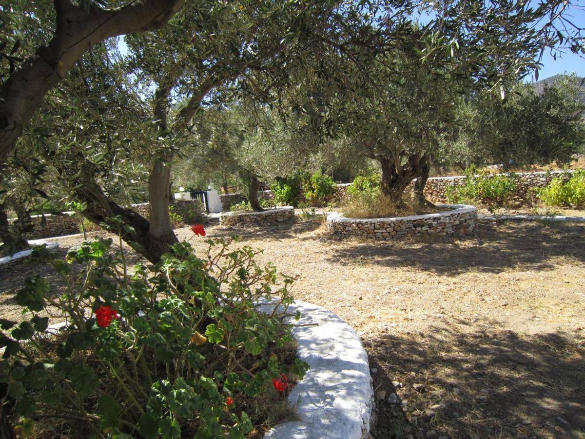 Elisso Villas Platis Gialos  المظهر الخارجي الصورة