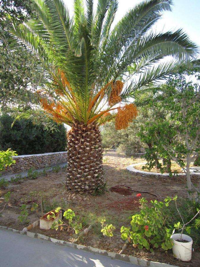 Elisso Villas Platis Gialos  المظهر الخارجي الصورة