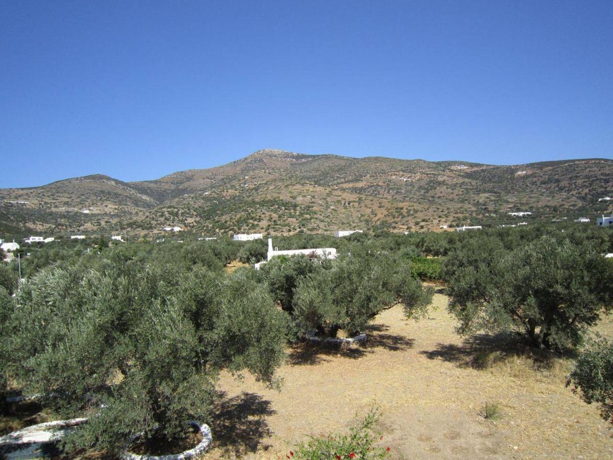 Elisso Villas Platis Gialos  المظهر الخارجي الصورة