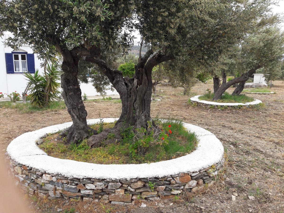 Elisso Villas Platis Gialos  المظهر الخارجي الصورة
