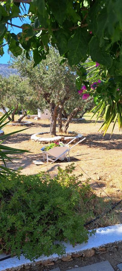 Elisso Villas Platis Gialos  المظهر الخارجي الصورة