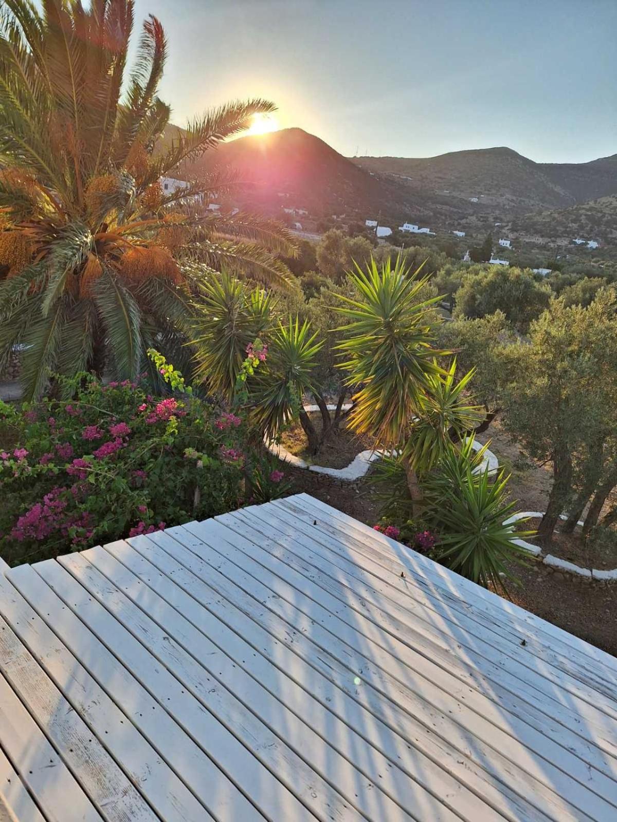 Elisso Villas Platis Gialos  المظهر الخارجي الصورة