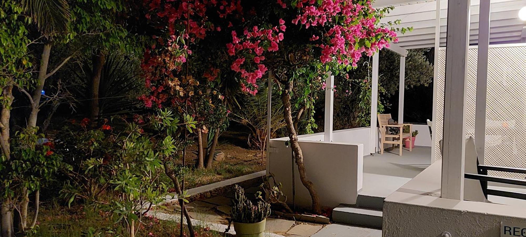 Elisso Villas Platis Gialos  المظهر الخارجي الصورة