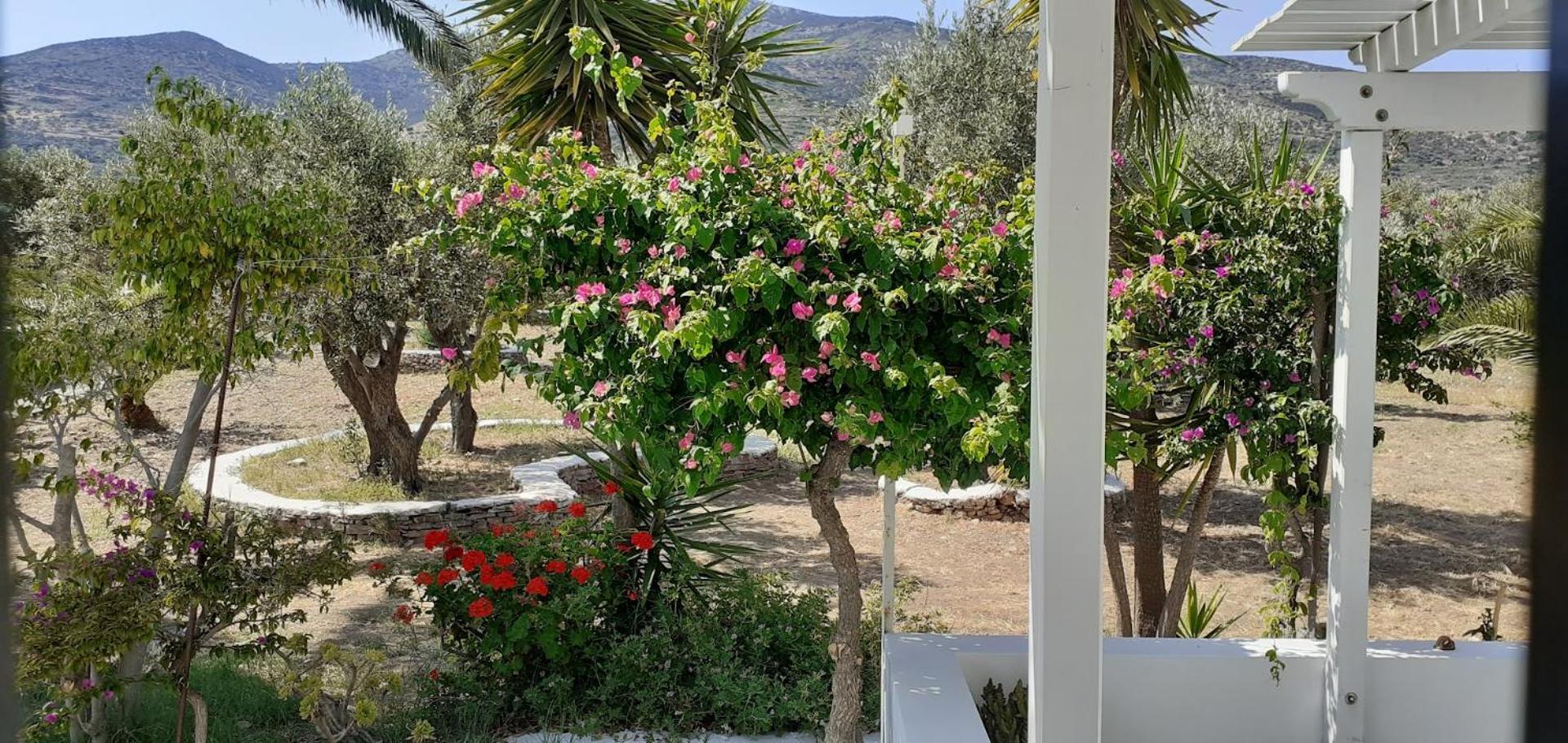Elisso Villas Platis Gialos  المظهر الخارجي الصورة