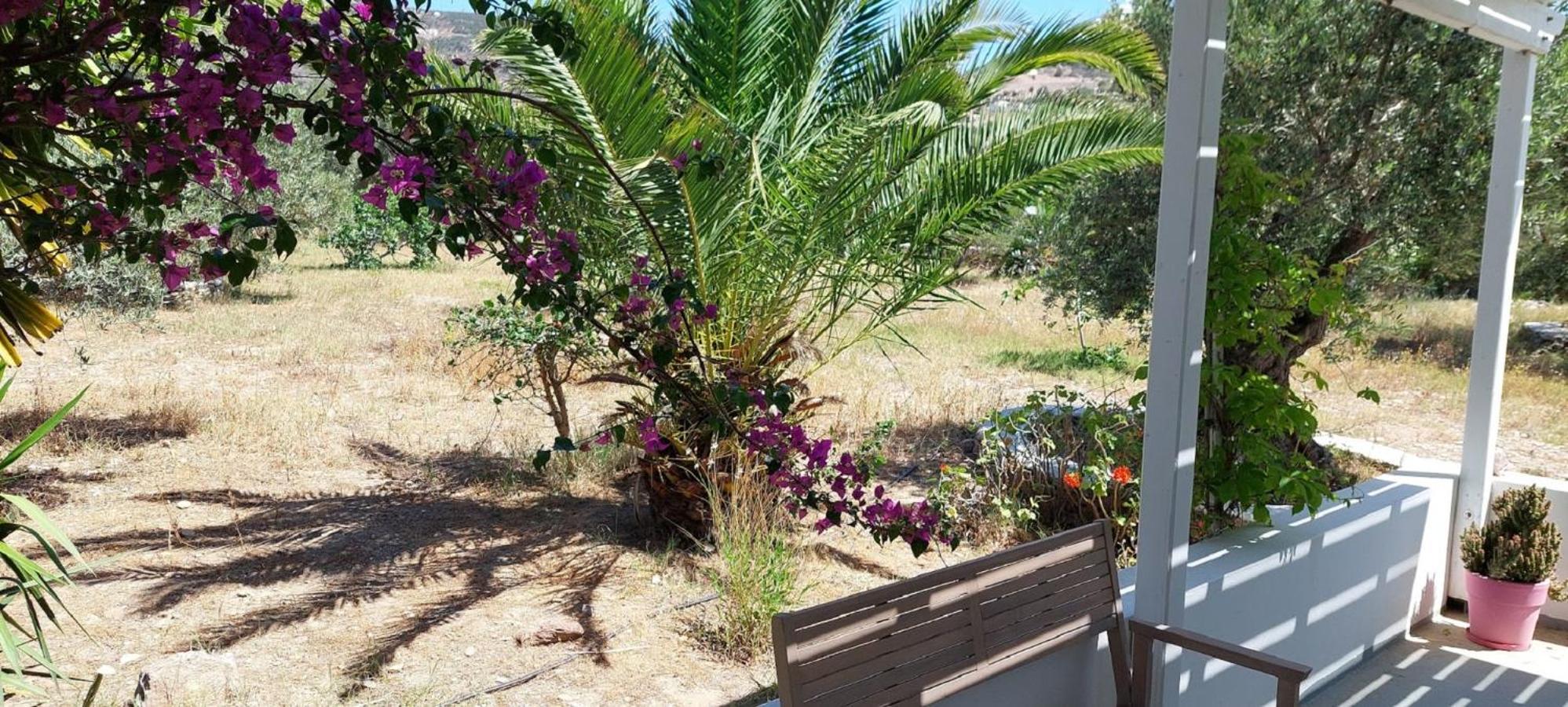 Elisso Villas Platis Gialos  المظهر الخارجي الصورة