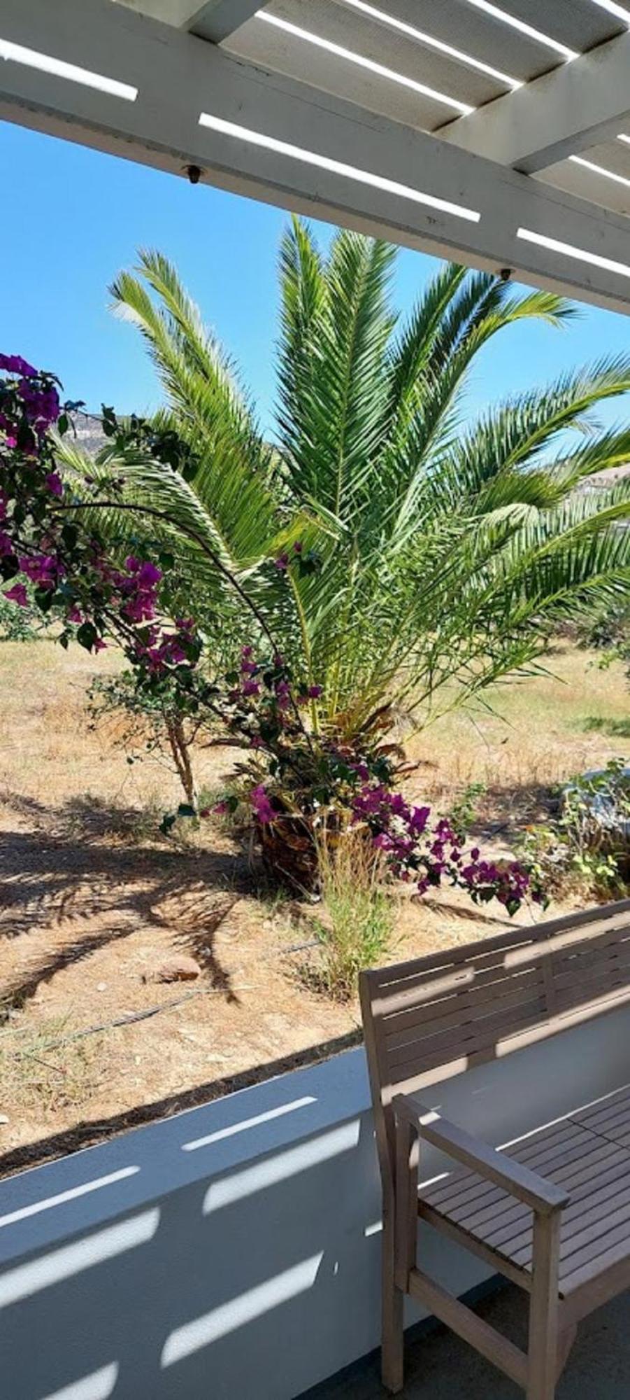 Elisso Villas Platis Gialos  الغرفة الصورة